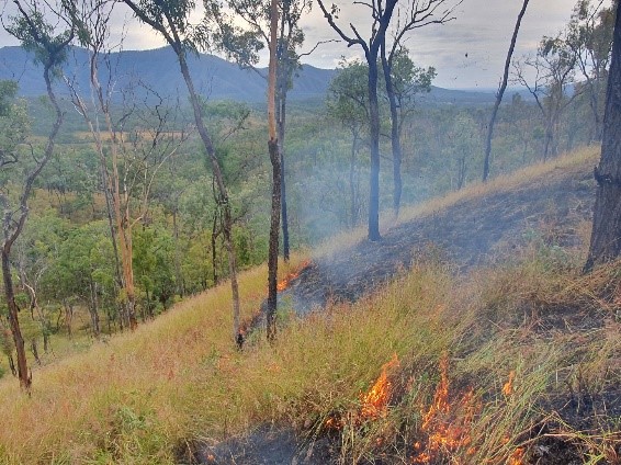 Cultural Burning - Lockyer Valley Regional Council